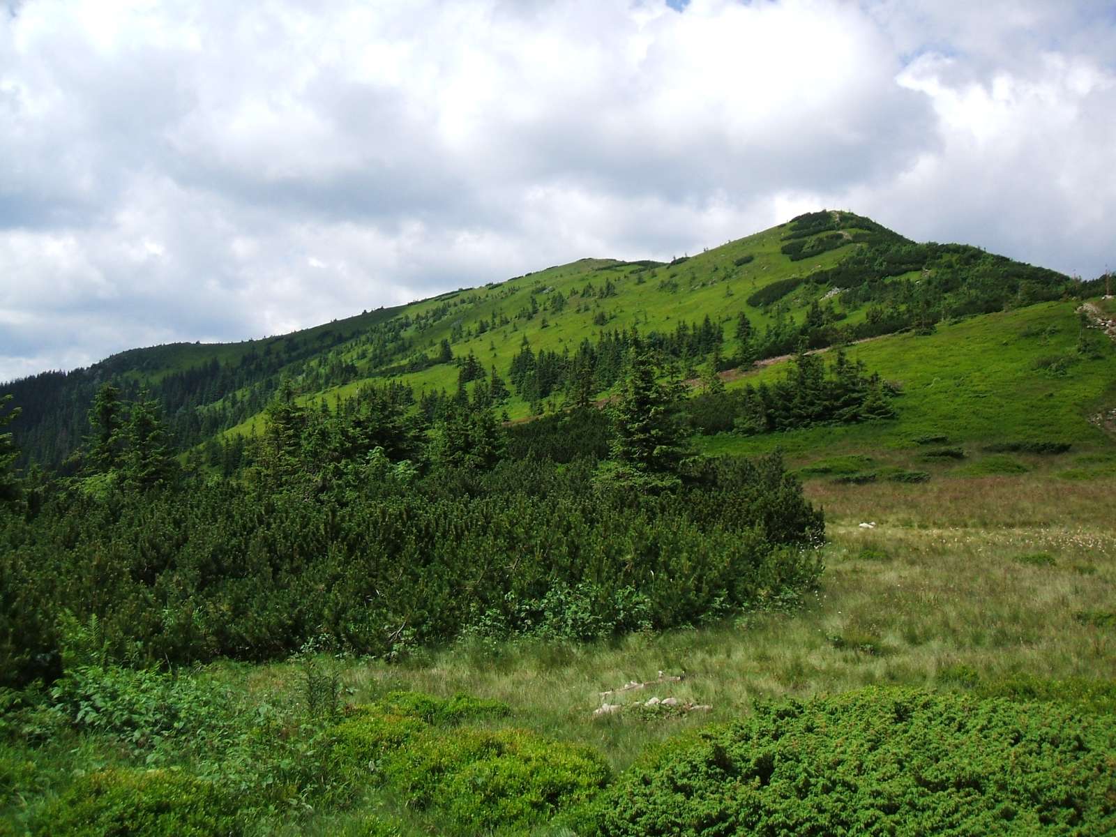 Babia Gora